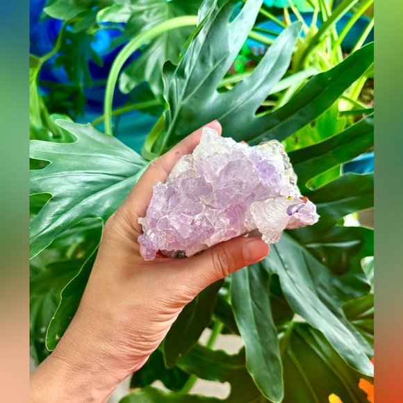 Parrot carving on Amethyst flower - Picture 5 of 8